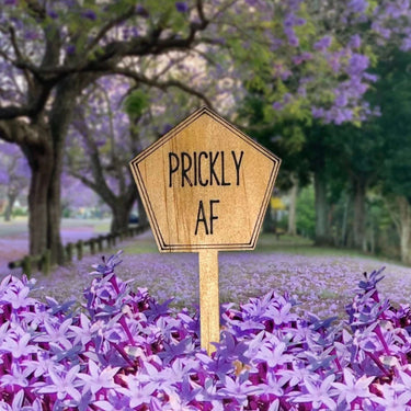 Funny Plant Stakes - Made from Sustainable Timber - Prickly AF - Unicorn Fart Productions